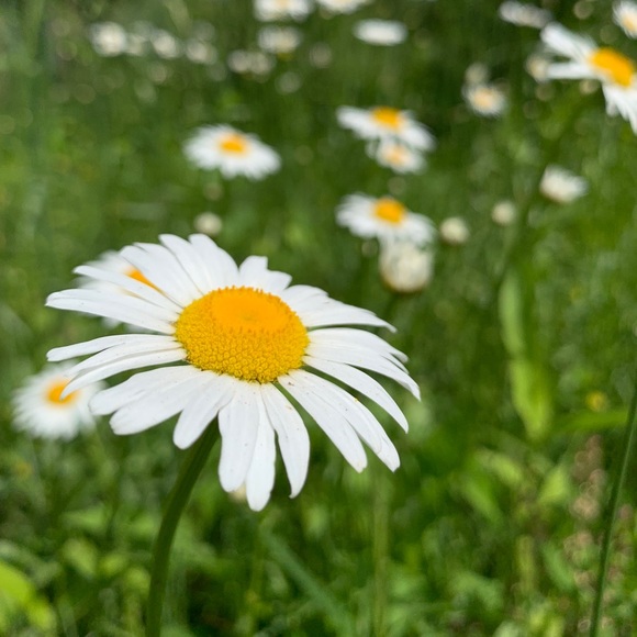 Meet your Posher, Jen - Picture 6 of 10